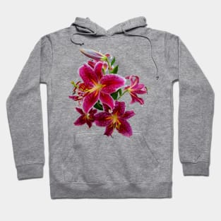 Cascade of Stargazer Lilies Hoodie